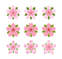 9款粉色带叶樱花矢量图片