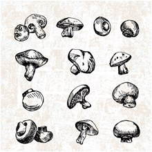 16款手绘蘑菇设计矢量图片