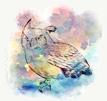 水彩绘背景猫头鹰矢量素材