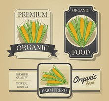 3款彩绘玉米有机农产品标签图矢量素材