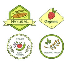 4款彩绘有机食品标签矢量图片