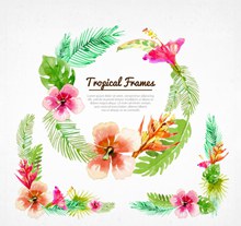 水彩绘夏威夷花环和花边矢量图下载