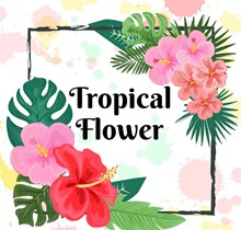 彩色热带花卉框架设计矢量素材