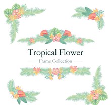 6款彩绘热带花卉边框矢量图片