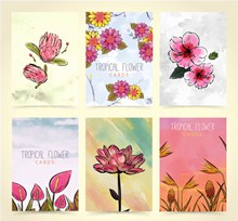 6款手绘热带花卉卡片矢量图下载