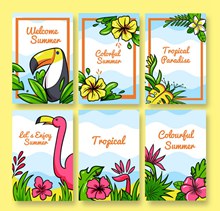 6款彩绘热带花鸟卡片矢量素材