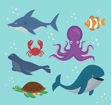 7款卡通海洋动物设计鲨鱼矢量图下载