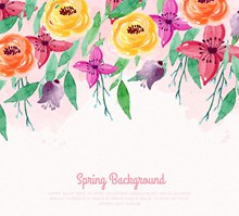 彩绘春季花卉矢量图