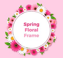 创意春季菊花框架设计矢量图下载