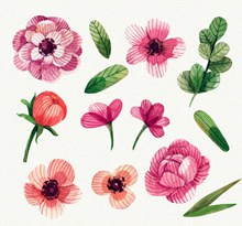 13款彩色手绘花卉和叶子图矢量下载