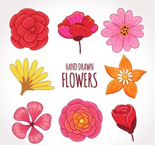 8款彩色手绘花卉设计矢量素材