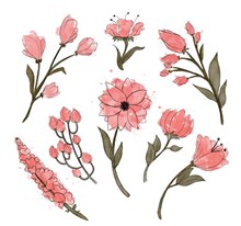 8款手绘粉色花卉矢量素材