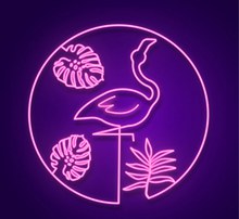 紫色火烈鸟霓虹灯矢量素材