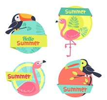 4款彩色夏季鸟类标签矢量图