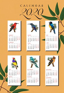 2020年美丽鸟类年历卡片图矢量