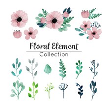18款彩绘花卉和树叶矢量下载