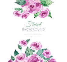 水彩绘紫色玫瑰花矢量图片