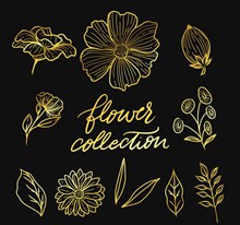 11款金色花卉和叶子矢量图片