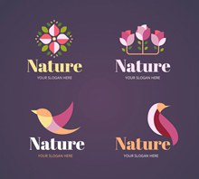 4款抽象花鸟自然标志矢量