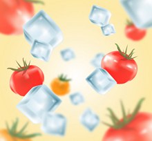 创意冰块和番茄矢量