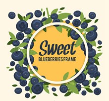 甜蜜蓝莓框架矢量图片