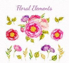 15款彩绘花卉和叶子图矢量下载