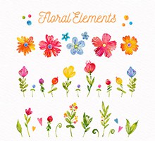 26款彩绘花卉和叶子矢量图片