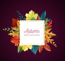 彩色秋季树叶背景设计矢量图片