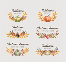 6款彩绘秋季标签矢量图