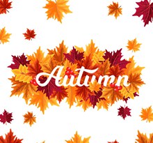 彩色秋季树叶艺术字矢量