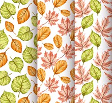 3款彩色秋季树叶无缝背景设计图矢量