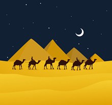 创意夜晚沙漠骆驼风景矢量图