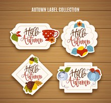4款彩色秋季标签设计图矢量图