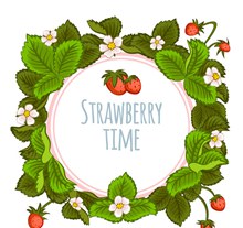 彩绘夏季草莓花叶矢量图片