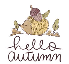 彩绘秋季刺猬矢量图片