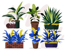 6款彩色美丽植物盆栽矢量图下载