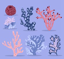 7款创意珊瑚设计矢量下载