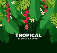 美丽热带花卉树叶矢量图下载