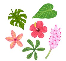 6款彩色花卉树叶矢量图片