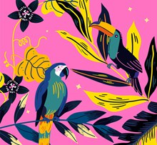 彩绘热带鹦鹉和大嘴鸟图矢量素材