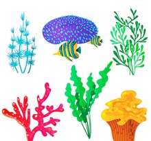 6款彩色珊瑚设计矢量图