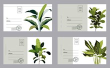 4款绿色植物明信片设计图矢量