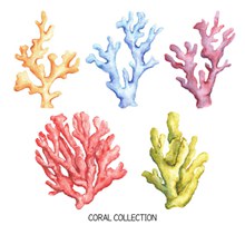 5款彩绘珊瑚设计矢量图下载