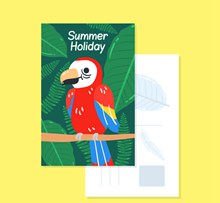可爱金刚鹦鹉夏季假期明信片图矢量下载