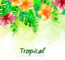 水彩绘美丽热带花卉矢量素材