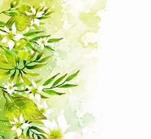 水彩绘绿色树叶白色花卉图矢量图