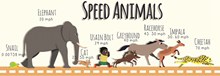 创意动物奔跑速度信息图矢量图