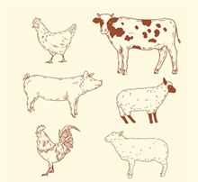 6款手绘农场动物矢量图