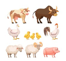 10款创意农场动物矢量图
