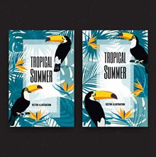 2款创意热带夏季托哥巨嘴鸟卡片图矢量下载